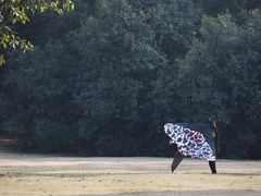 -南国桃园旅游度假区