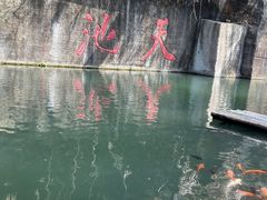 -千岛湖东南湖区