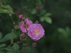-合肥大剧院