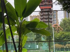 -塔子山公园