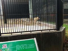 -广东茂名森林公园