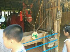 -北纬44度·金珠花海休闲农业旅游景区