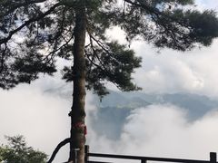 -陕西省红河谷森林公园