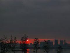 -游心咖啡(青山滨江店)