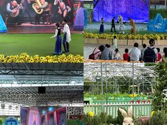 -盈香心动乐园