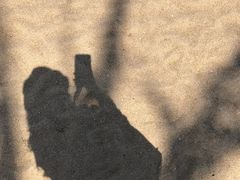 -上海月湖雕塑公园