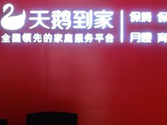 -天鹅到家·保姆月嫂育儿嫂(蔚蓝海岸店)