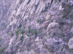 -北京凤凰岭