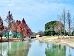 -西山漾湿地公园