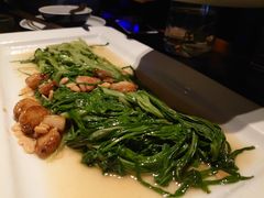 豆酱扒通菜-绿茶餐厅(乐峰广场店)