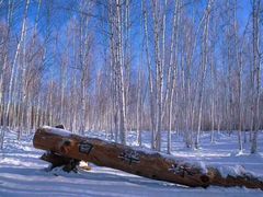-北极村旅游风景区