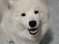 -宠福鑫康馨动物医院·骨科·眼科