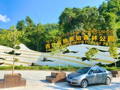 -西双版纳原始森林公园