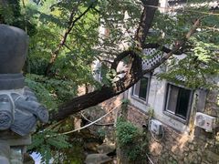 -老张烤羊(王哥庄店)