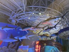 -烟台海昌鲸鲨海洋公园