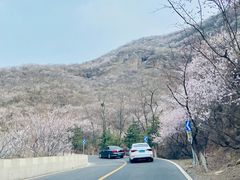 -妙峰山风景名胜区