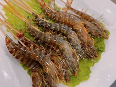白灼斑节虾-金龙·打边炉(南京西路店)