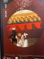 -金夫人婚纱摄影(总店)