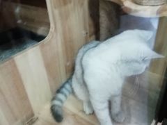 -满悠悠惜食(万豪国际公寓店)