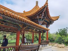 -洛龙公园