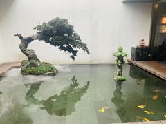 -觀芷隐轩