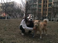 -美联众合动物医院·24h转诊中心