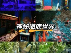 -大连圣亚海洋世界
