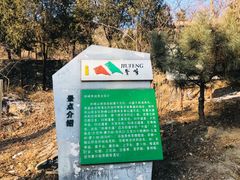 -阳台山自然风景区