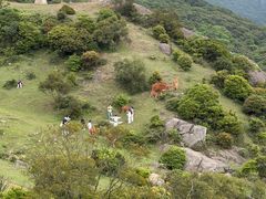 -大姆山草场