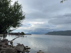 -才村湿地公园