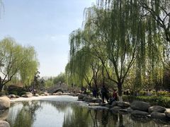 -西安青龙寺遗址景区