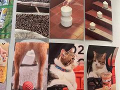 -Seesaw Coffee(西岸凤巢店)