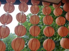-伴山茶苑·一盏冰茶·半日山居