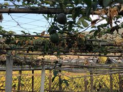 -云水谣景区-土楼之光文化园