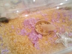 -金茂览秀城