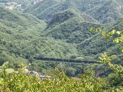 -大岭沟猕猴桃谷风景区