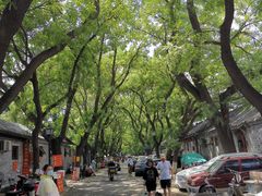 -北京国子监胡同