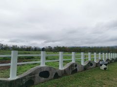 -瑞穗牧场