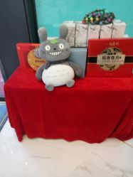 -镜面皮肤管理