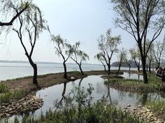 -渤公岛生态公园