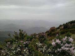 -妙峰山风景名胜区