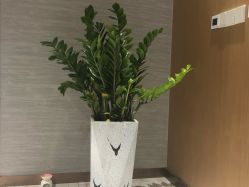 -苑苑vbeauty科技美容SPA