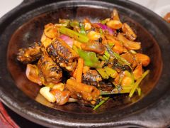-十六台·经典广东菜(德外大街店)