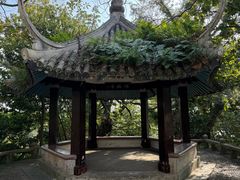 -江心屿景区