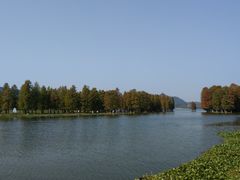-品雅轩农家乐