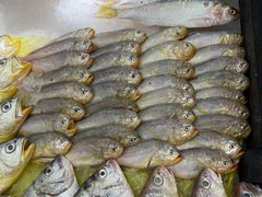 -合家小菜餐馆(新诚花苑店)