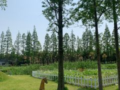 -前小桔亲子创意农场·草莓采摘·露营烧烤