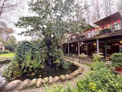 -林间山庄