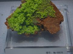 -湖南省地质博物馆