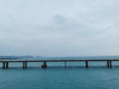-海堤纪念公园
